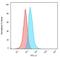 CD74 Molecule antibody, NBP2-29465, Novus Biologicals, Flow Cytometry image 