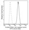 Protein Disulfide Isomerase Family A Member 4 antibody, GTX02032, GeneTex, Flow Cytometry image 