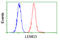 LEM Domain Containing 3 antibody, LS-C114871, Lifespan Biosciences, Flow Cytometry image 