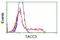 Transforming Acidic Coiled-Coil Containing Protein 3 antibody, GTX83534, GeneTex, Flow Cytometry image 