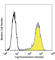 Podoplanin antibody, 337005, BioLegend, Flow Cytometry image 