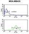 Cytosolic Iron-Sulfur Assembly Component 3 antibody, abx034531, Abbexa, Flow Cytometry image 