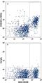 Carcinoembryonic Antigen Related Cell Adhesion Molecule 1 antibody, FAB6480A, R&D Systems, Flow Cytometry image 