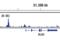 Androgen Receptor antibody, 5153T, Cell Signaling Technology, Chromatin Immunoprecipitation image 