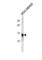 TPD52 Like 3 antibody, abx034929, Abbexa, Western Blot image 