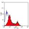 CD28 antibody, MA1-34061, Invitrogen Antibodies, Flow Cytometry image 