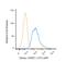 Sirtuin 1 antibody, NBP1-51641APC, Novus Biologicals, Flow Cytometry image 