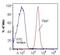 8-Oxoguanine DNA Glycosylase antibody, NB100-106, Novus Biologicals, Flow Cytometry image 