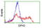 Diphthamide Biosynthesis 2 antibody, LS-C174009, Lifespan Biosciences, Flow Cytometry image 