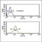 Von Willebrand Factor A Domain Containing 5A antibody, orb214202, Biorbyt, Flow Cytometry image 