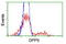 Dipeptidyl Peptidase 9 antibody, LS-B11152, Lifespan Biosciences, Flow Cytometry image 