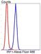 Interferon Regulatory Factor 1 antibody, NBP2-67330, Novus Biologicals, Flow Cytometry image 