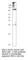 Receptor Tyrosine Kinase Like Orphan Receptor 1 antibody, ROR1-101AP, FabGennix, Western Blot image 