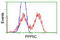 Protein Phosphatase 5 Catalytic Subunit antibody, LS-C114692, Lifespan Biosciences, Flow Cytometry image 