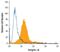 Integrin Subunit Alpha 8 antibody, MA5-24196, Invitrogen Antibodies, Flow Cytometry image 