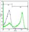 Docking Protein 1 antibody, orb5083, Biorbyt, Flow Cytometry image 