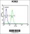 T-Box 6 antibody, 56-140, ProSci, Flow Cytometry image 