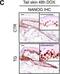 Nanog Homeobox antibody, NB100-58842, Novus Biologicals, Immunohistochemistry paraffin image 