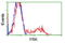 Fyn Related Src Family Tyrosine Kinase antibody, LS-C114622, Lifespan Biosciences, Flow Cytometry image 