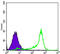 BCL2 antibody, abx016080, Abbexa, Enzyme Linked Immunosorbent Assay image 