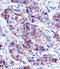 Lactalbumin Alpha antibody, LS-C165669, Lifespan Biosciences, Immunohistochemistry frozen image 
