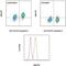 NFKB Inhibitor Alpha antibody, 12-9036-42, Invitrogen Antibodies, Flow Cytometry image 