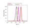 SMAD Family Member 4 antibody, 710714, Invitrogen Antibodies, Flow Cytometry image 
