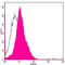Geminin DNA Replication Inhibitor antibody, LS-B13669, Lifespan Biosciences, Flow Cytometry image 