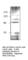 Quiescin Sulfhydryl Oxidase 1 antibody, QSOX1-101AP, FabGennix, Western Blot image 