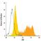 TYRO3 Protein Tyrosine Kinase antibody, FAB759P, R&D Systems, Flow Cytometry image 