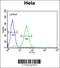 cAMP-responsive element modulator antibody, 63-790, ProSci, Immunofluorescence image 
