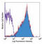 Low affinity immunoglobulin gamma Fc region receptor III antibody, orb248808, Biorbyt, Flow Cytometry image 