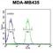 Transmembrane Protein 30B antibody, abx032360, Abbexa, Western Blot image 