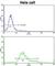 Protein Disulfide Isomerase Family A Member 6 antibody, abx032923, Abbexa, Western Blot image 