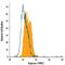 Liver-type arginase antibody, IC5868P, R&D Systems, Flow Cytometry image 