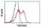 Transmembrane Protein 80 antibody, GTX83504, GeneTex, Flow Cytometry image 