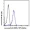 Chromobox 5 antibody, GTX89432, GeneTex, Flow Cytometry image 