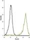 Potassium Voltage-Gated Channel Subfamily A Member 5 antibody, GTX16716, GeneTex, Flow Cytometry image 