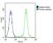 Ras Interacting Protein 1 antibody, PA5-72482, Invitrogen Antibodies, Flow Cytometry image 