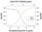 Fibroblast Growth Factor 23 antibody, PA5-46997, Invitrogen Antibodies, Neutralising image 