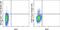 CD83 antigen antibody, 62-0839-41, Invitrogen Antibodies, Flow Cytometry image 