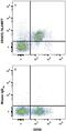 SLAM Family Member 7 antibody, FAB1906A, R&D Systems, Flow Cytometry image 