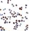 Interleukin 1 Receptor Accessory Protein antibody, A02824, Boster Biological Technology, Immunocytochemistry image 