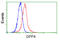 Dipeptidyl Peptidase 4 antibody, GTX84602, GeneTex, Flow Cytometry image 