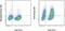 Aryl Hydrocarbon Receptor antibody, 50-5925-80, Invitrogen Antibodies, Flow Cytometry image 