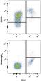 C-X-C Motif Chemokine Receptor 4 antibody, MAB170, R&D Systems, Flow Cytometry image 