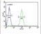 Leucyl And Cystinyl Aminopeptidase antibody, PA5-23777, Invitrogen Antibodies, Flow Cytometry image 