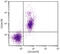 CD24 Molecule antibody, 98-982, ProSci, Immunohistochemistry paraffin image 