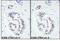 Tripartite Motif Containing 28 antibody, A300-274A, Bethyl Labs, Immunohistochemistry paraffin image 