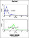 RNA Binding Motif Protein 14 antibody, 61-623, ProSci, Flow Cytometry image 